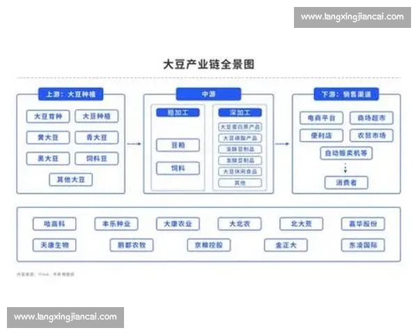 以212比赛为核心的赛事演进路径与产业生态深度评估与趋势洞察