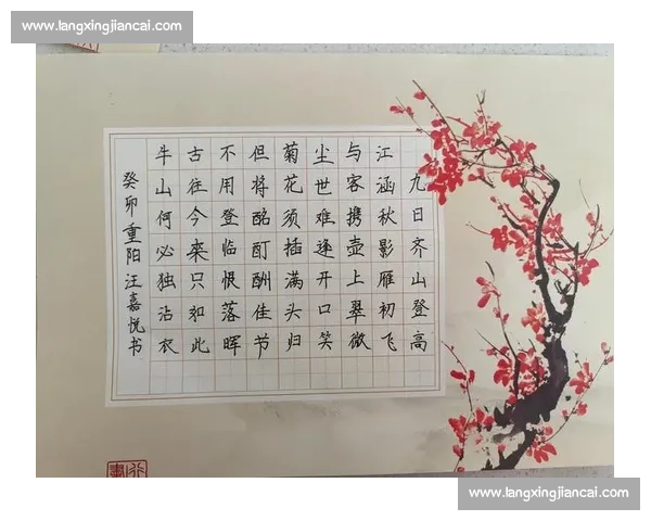 小学生硬笔书法比赛作品展示 书写之美与艺术创作的完美融合